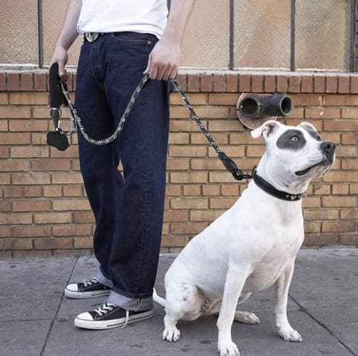 Hundkoppel med Reflex / Koppel för Hund - 5 m