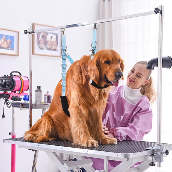 Hundefrisering Bugrem, Justerbar Nylon Bordarmforlænger Med Clips, Små Til Mellemstore Hunde, Badning Og Trimning, Blå