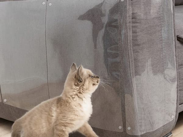Kløsbeskyttelse - Møbelbeskyttelse mot katter / Sofabeskyttelse - 2 stk._jar Transparent transparent