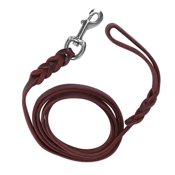Cowhide and Leather Leash for Dog Walking, Running, and Training (1.6 m)