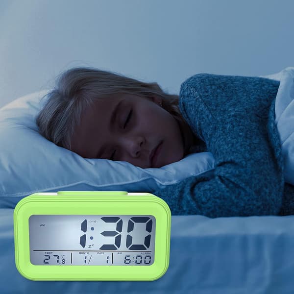 2 stykker Fuglenet Hamster Råttetov Netnæt til Smådyr N