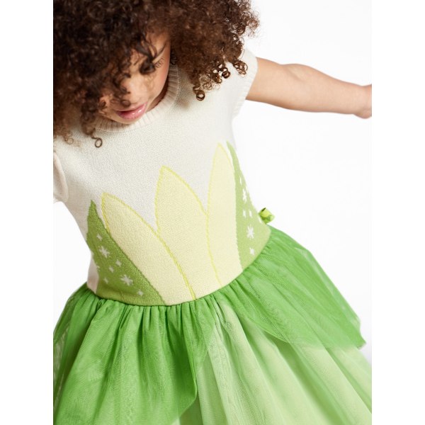 Disney Prinsesse Tiana Cosplay Kjole til Små Piger, Størrelser 12M-5T greyblue 5t