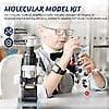 Molekylmodellsett, Organisk Molekylkjemi Sett, Atom Element Modellsett for Undervisning, Struktur Byggesett