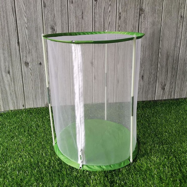 Butterfly Habitat, Cylindrical Monarch Butterfly Inclosure Clear Insect Cage Terrarium, 12,4 x 12,4 x 15,7 tum