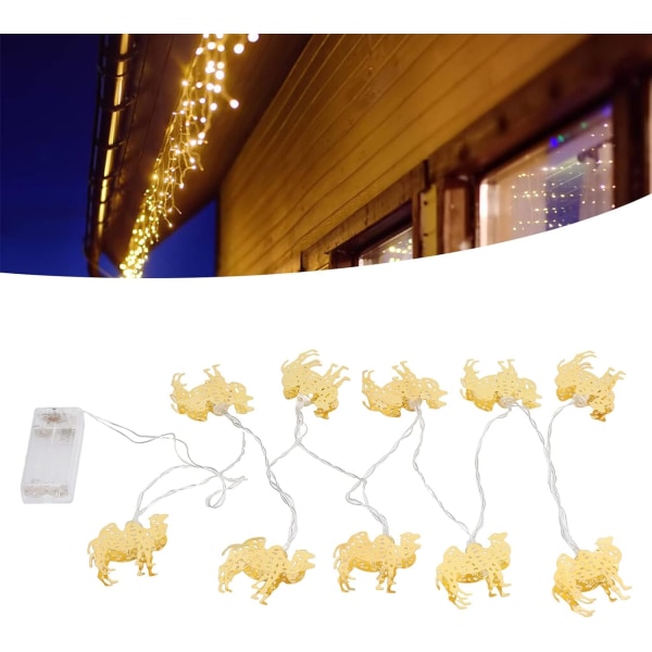 Strängljus, romantisk ljuseffekt, flitigt använt Thanksgiving Day-järn LED-slingor (färgstarkt ljus)