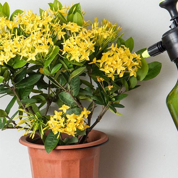 6 st förvaringsställ för blomkrukor Blomkrukor för inomhusväxter Planteringskärl för inomhusväxter Svart blomkruka Blomkrukaställ växtkrokhängare