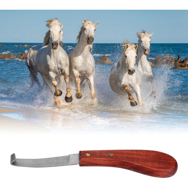 Böjd hovkniv, höger-/vänsterhand Ergonomisk hovkniv med trähandtag för hästtrimning