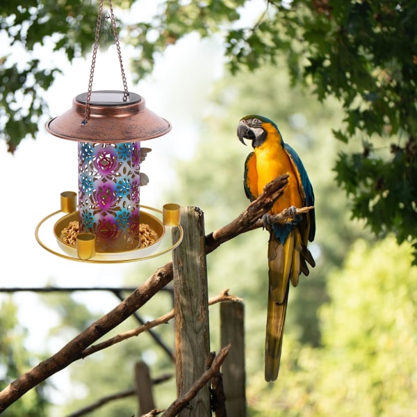 mata fåglarna sollampa hängande dispenser Bird Feeder trädgårdslampa sollampa utomhus utomhus sol lykta hängande fåglar matare shine