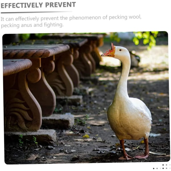 200 st glasögon kycklingar tillbehör plastglasögon fågeltillbehör anti-picking glasögon gås ögonmask anti-pecking glasögon fjäderfä