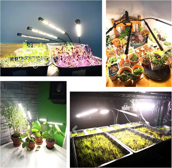 Vækstlys til indendørs planter, 80 fuldspektrede LED'er, 10 dæmpningsniveauer og 4 vækstlys med timer, rød/hvid