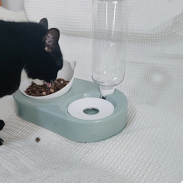 Kattmatskål Vattendispenser Automatisk vattenförvaring Non