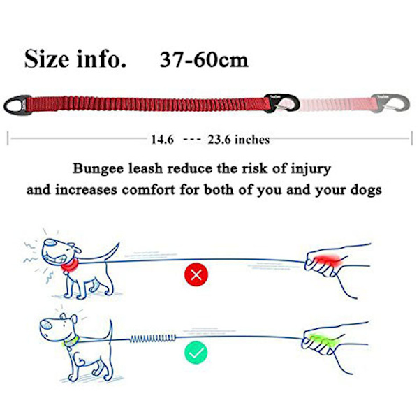Kort bungee hundkoppel för hundar Nylon indragbart