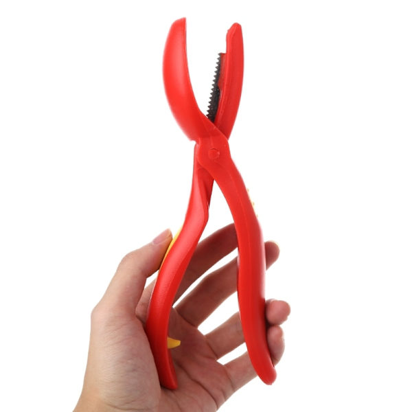 Creative Rostfritt stål kastanj Cutter Valnöt Tång Clamp