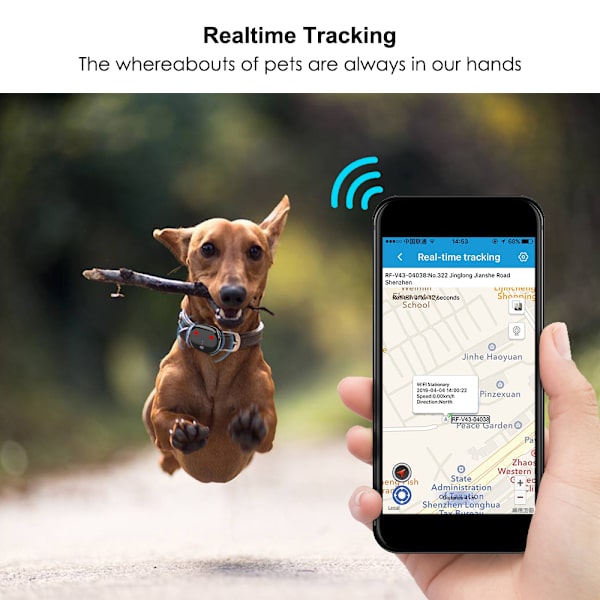 Mini GPS Pet GPS 4G Vattentät IP67 Cat Hund GPS WIFI Spårning