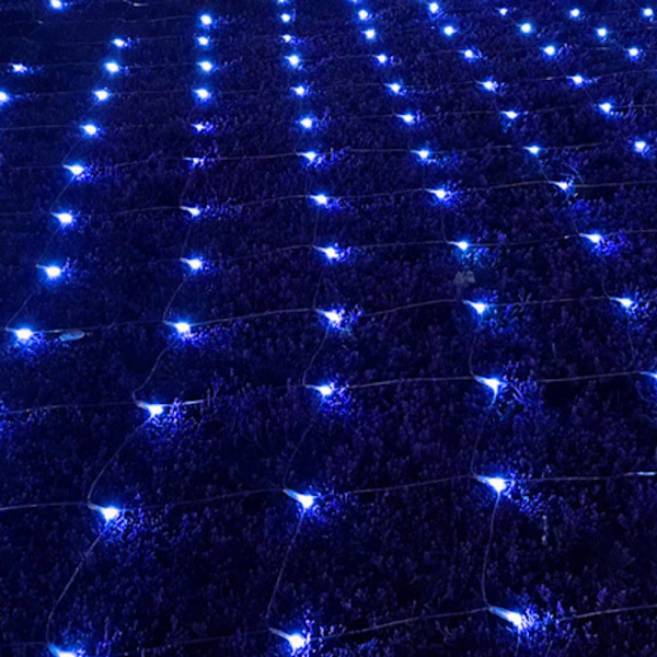 LED utomhus vattentät fiskenätsljus, juldagen Blue 3*2m