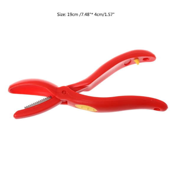 Creative Rostfritt stål kastanj Cutter Valnöt Tång Clamp