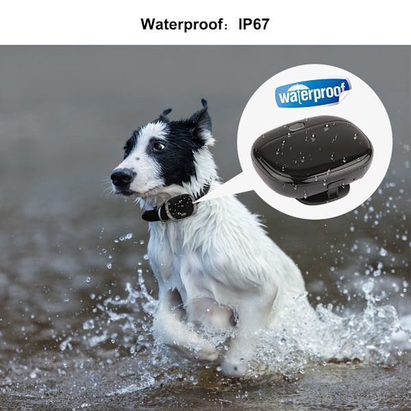 Mini GPS Pet GPS 4G Vattentät IP67 Cat Hund GPS WIFI Spårning