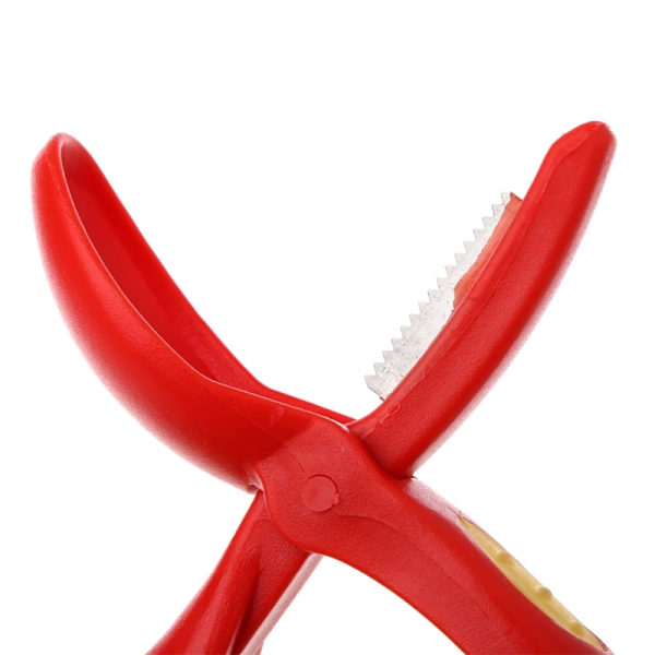 Creative Rostfritt stål kastanj Cutter Valnöt Tång Clamp