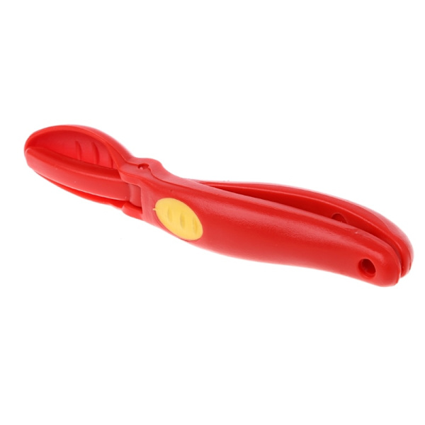 Creative Rostfritt stål kastanj Cutter Valnöt Tång Clamp