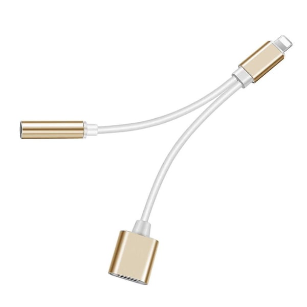 2-i-1 USB-C till Lightning-adapter - guld