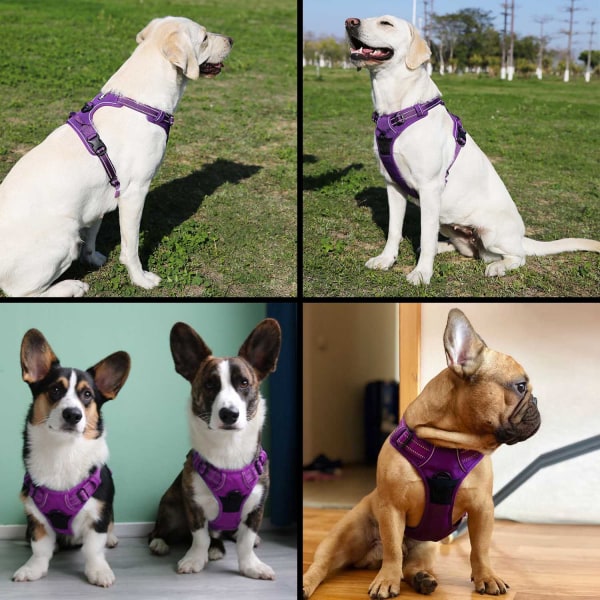 No Pull Dog Sele Justerbar Säkerhet Nylon Stor hund
