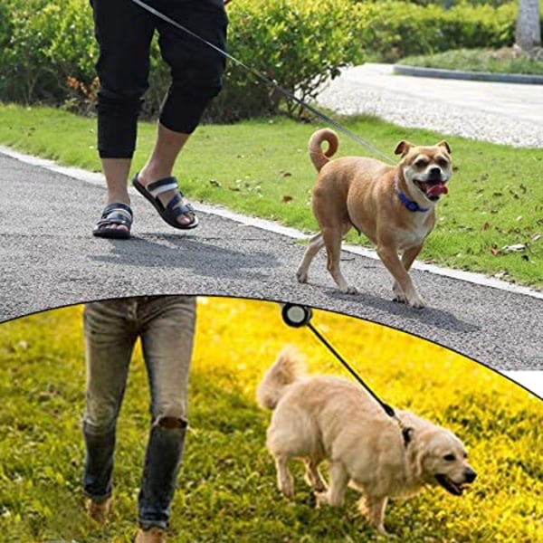 Inntrekkbar bånd for liten katt eller hund, blå blue