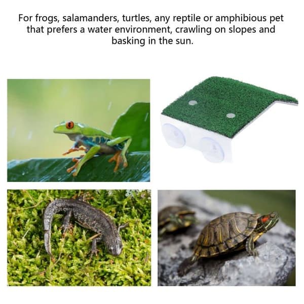 2 sugkoppssköldpaddsplattformar - klätterstege - akvarium