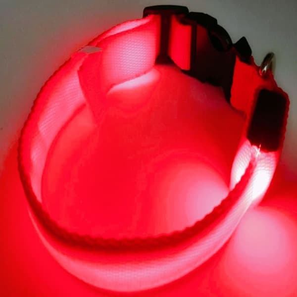 LED-hundhalsband, uppladdningsbart, lysande, justerbart, reflekterande