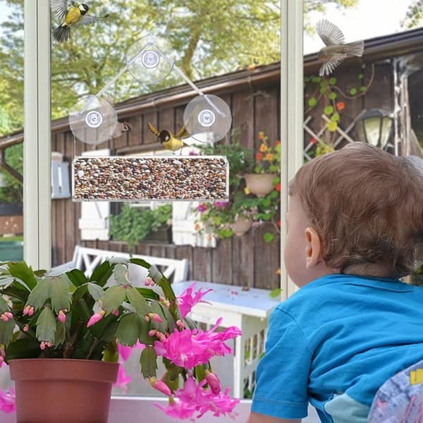 Fuglefoderbræt med kraftige sugekopper, lavet af klar plast, til have- og udendørsbrug
