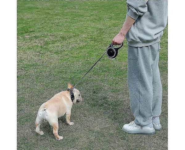 Infällbart hundkoppel - Stort hundkoppel Kraftigt infällbart hundkoppel, stil 3