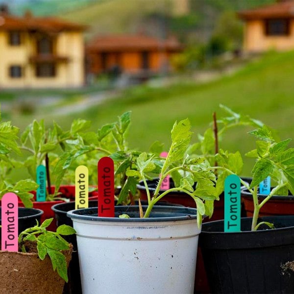 Vandafvisende plantelabels / planteskilte med huller PVC 100-pak Grøn