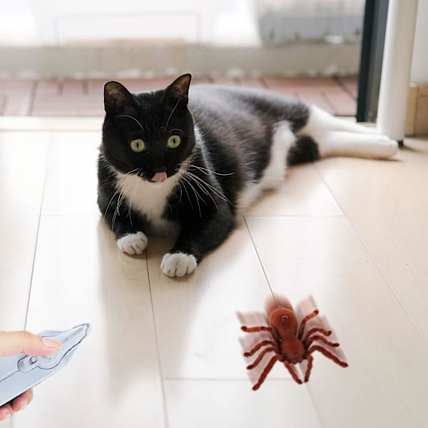 XiXiRan Fjärrkontroll Spindel Leksak, Fjärrkontroll Spindel Leksak, Fjärrkontroll Tarantula Leksak, Radiostyrd Spindel, Fjärrkontroll Spindel