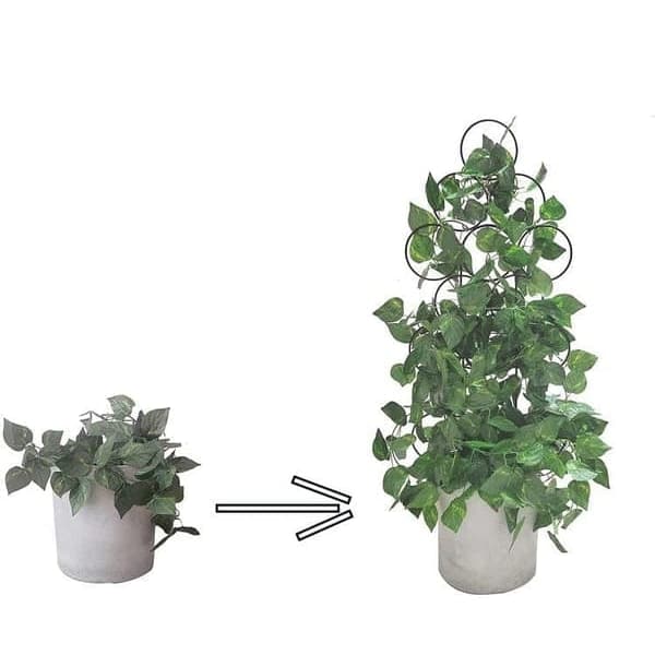 Plantestøtte/Støtte til planter 1/2 stk.