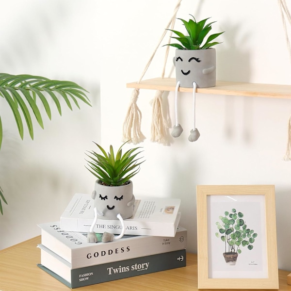 Sett med 2 Kunstige Potteplanter Søte Fake Sukkulenter med Hengende Bein Emosjonell Cement Faux Sukkulenter Potteplante Dekor 2 Pcs- Squint Shy