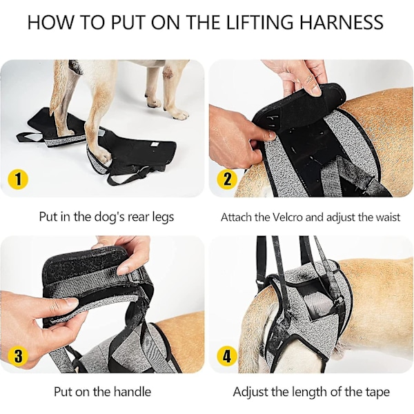 Løftesele for Hund, Støttesele for Bakbein, Myk Støtteslynge for Hunder med Funksjonshemninger og Skader XL