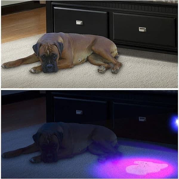 UV-taskulamppu 100 ultravioletti-LED-musta