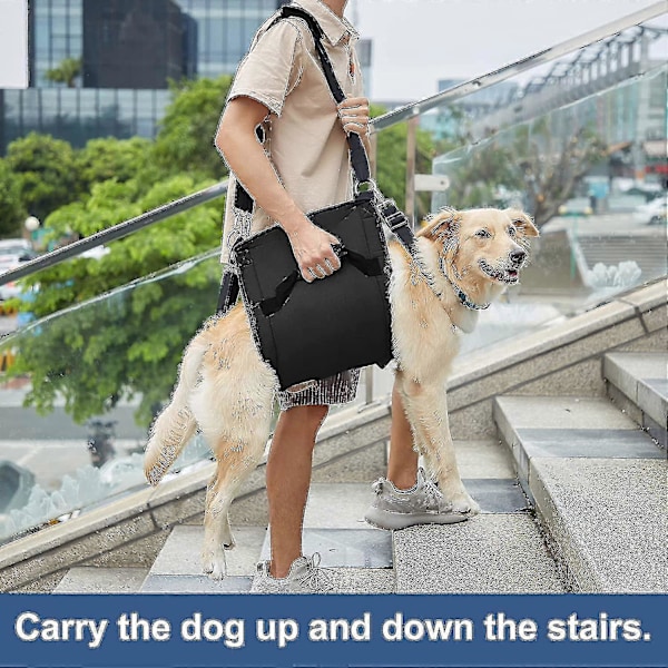 Hundebæresele, Emergency Backpack Pet Legs Support & Rehabilitation Hund (sort) Løfte Sele Til Negleklipning, Hundebærer L