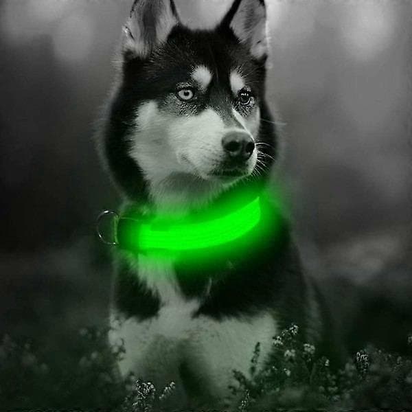 LED hundehalsbånd, genopladeligt, selvlysende, justerbart, reflekterende
