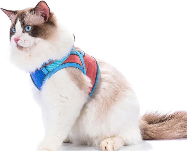 Husdjurstillbehör katt Dragrep Väst Reflex kattrep