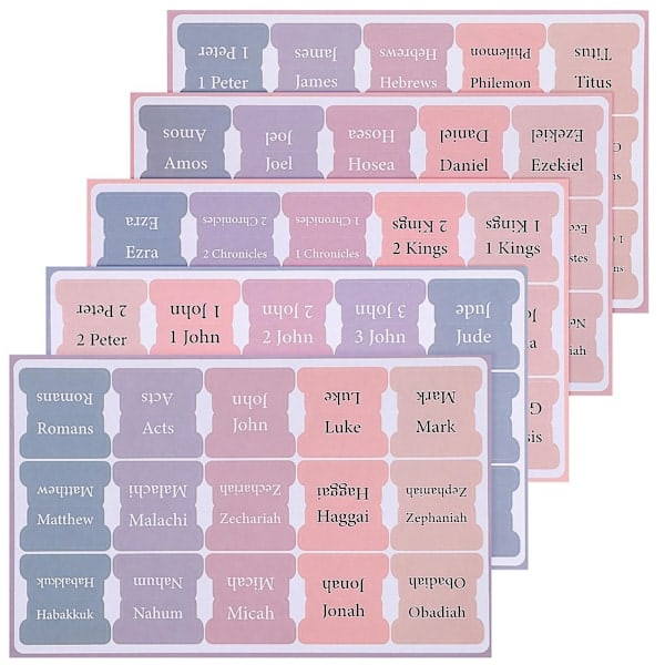 5 ark Bibel faner Bibel indeks faner Bibel kapittel faner Bibel bok faner Bibel faner for kvinner Studiebibel