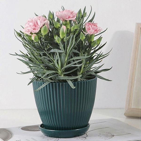 Plastblomkrukor för växter, 5-pack 15 cm blomkrukor med dräneringshål och fat, för inomhusbruk