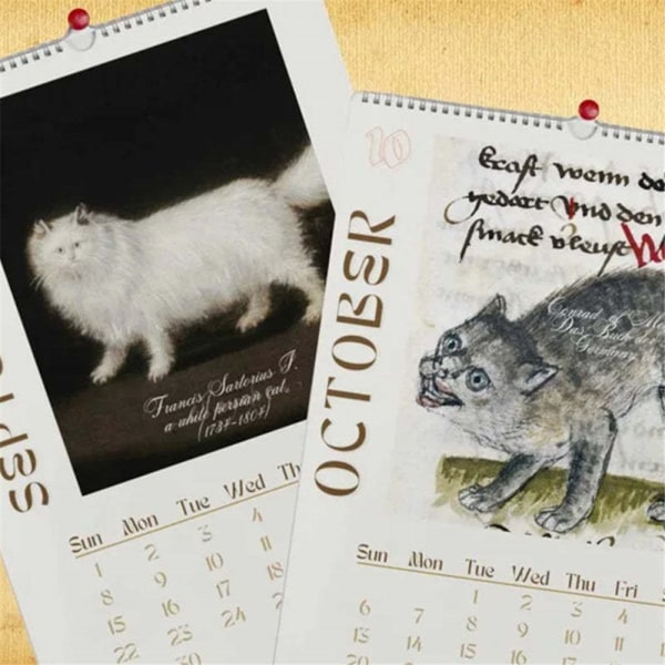 Cat Wall Calendar 2024 Ugly Cats Painting Funny Cat Calendar