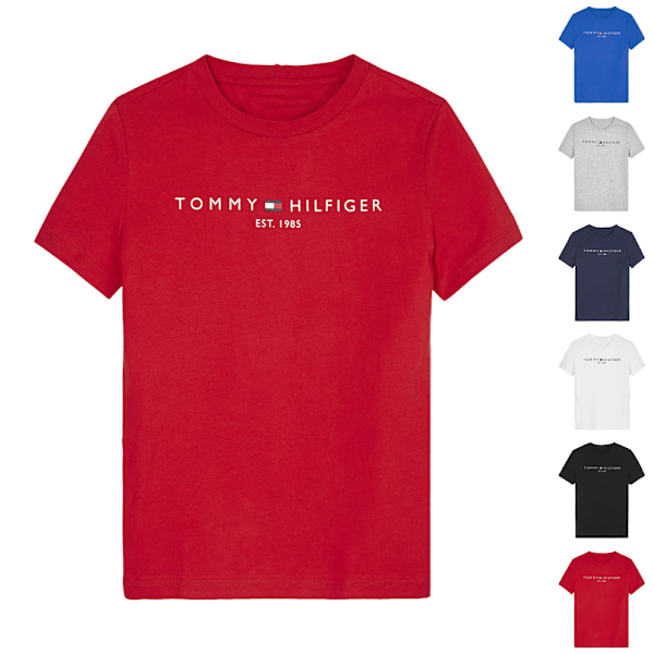 Tommy Hilfiger Herr T-shirt med bokstavstryck, kort ärm, löst sittande, avslappnad, sommartopp Blue S