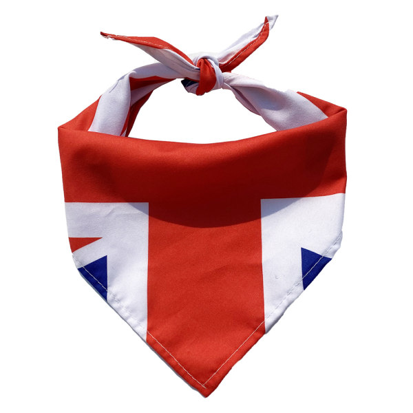 Liten medelstor husdjur hund katt Storbritannien triangel halsduk festlig utklädning