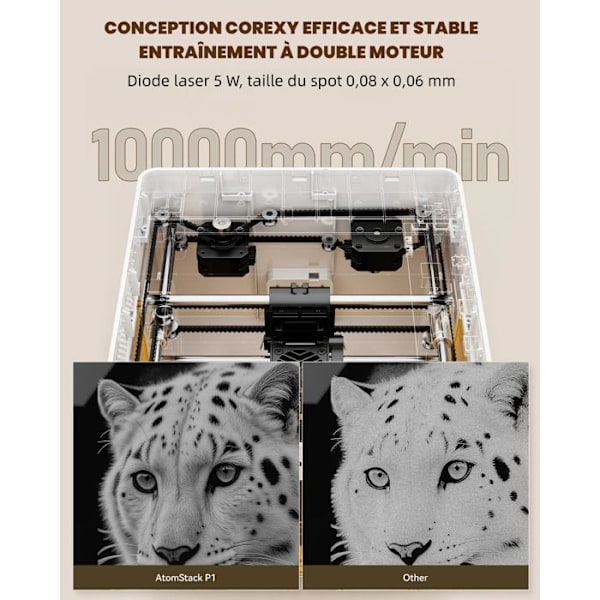 AtomStack P1 Maskiner Gravure Laser Hobby 5W Gratis Kontrol APP Gravure Zone 110 x 110 mm, Hastighed 10000 mm/min Vit