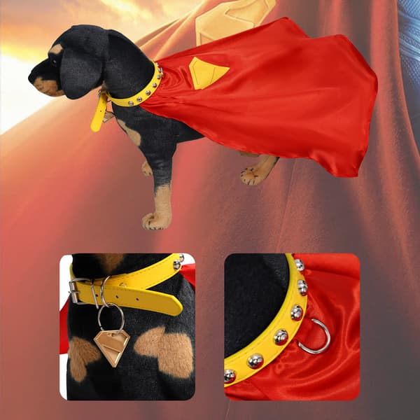 Superman Krypto Hundekostume (M)