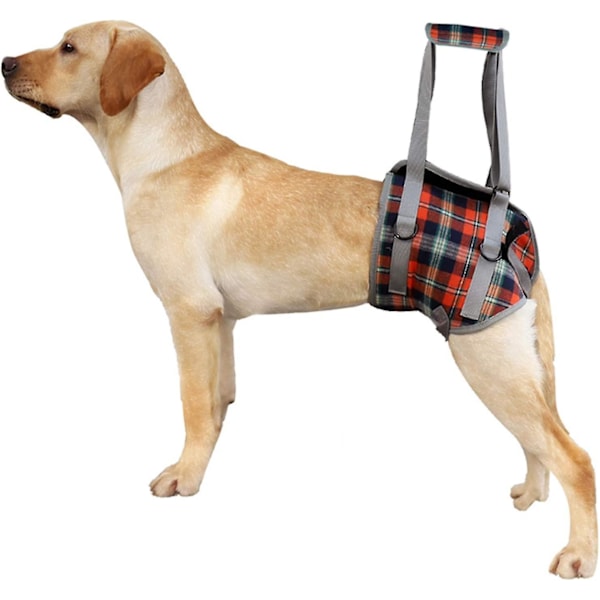 Heytea Dog Lift Harness, Grid Pet Rear Support Aid Veterinarian Approved Sling For Old K9 Help With Poor Stability, Back Leg Hip Disabled Joint Injury