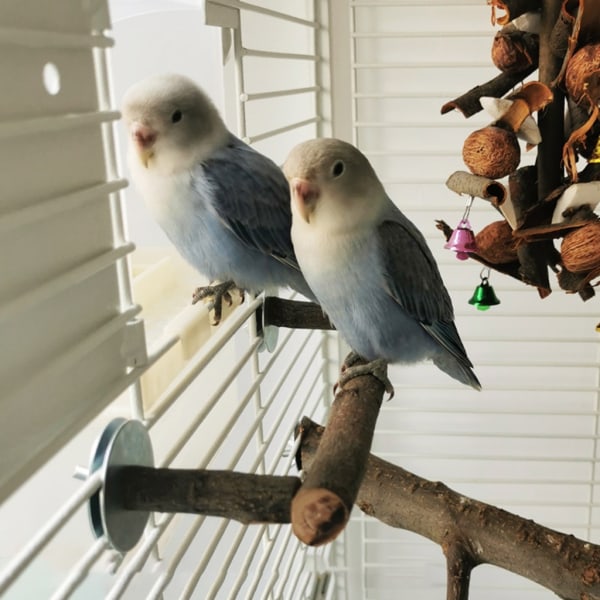 Fågel sittpinnar Naturträ Stativ U-formad Bar Cage Toy för Cockatiels Conures qd bäst M