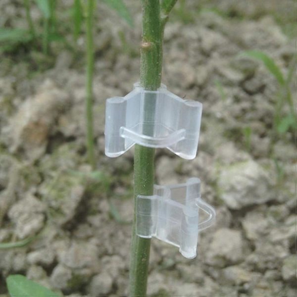 100 st Plantympningsklämmor, Transparenta Växtstöd för Tomater, Blommor och Grönsaker (Transparent)
