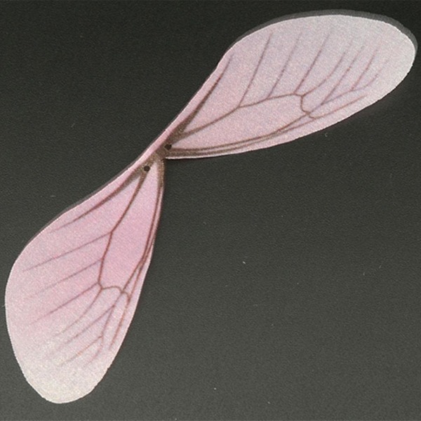 10x10 st Dragonfly-vingar Örhängeberlocker för DIY-smycken Blandade